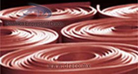 SBR rojo DINAMICA EMPRESARIAL DRACO